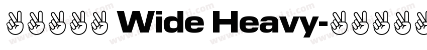 ヒカリ角ゴ Wide Heavy字体转换